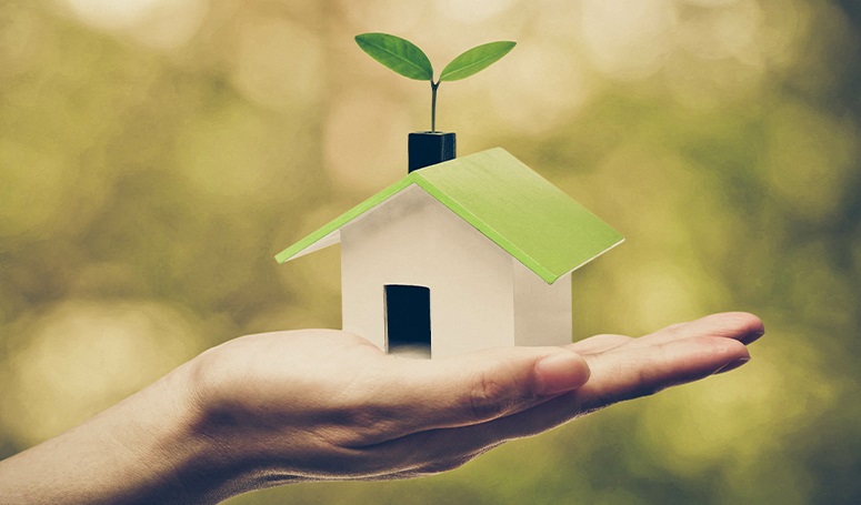How to be more sustainable in your home this Earth Day